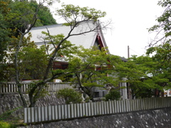 P1020666