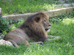 P1020372