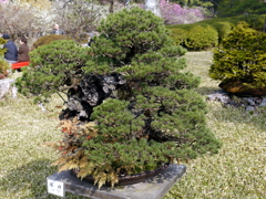 105_P1040647g