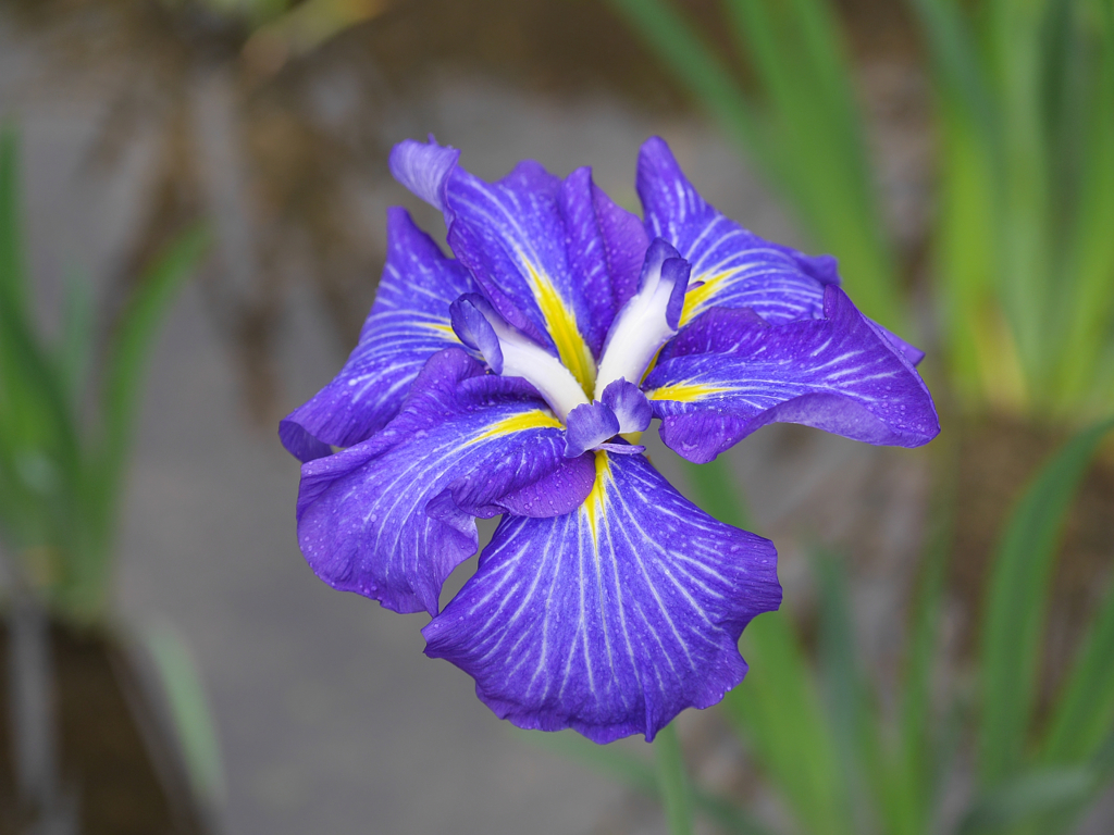 P1010569
