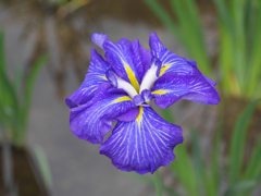 P1010569