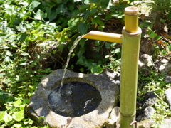 P1030418