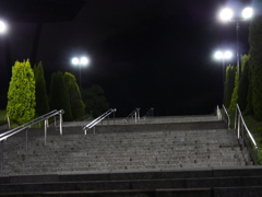 P1030989