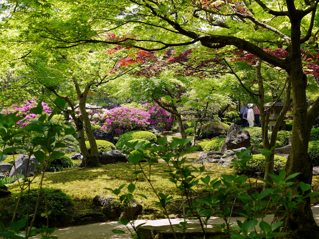 日本庭園