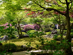 日本庭園