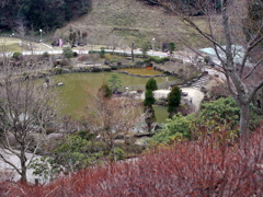 P1040836g