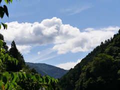 P1030387