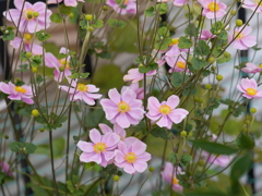 P1050576