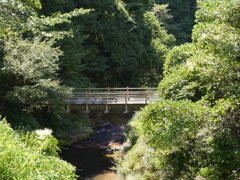 P1030389