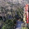 P1080721 三滝寺
