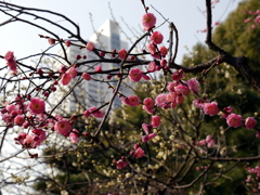012_P1040668g