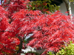 P1010288