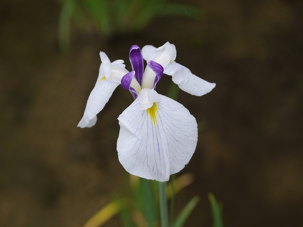 P1010543