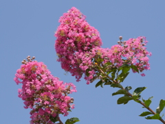P1030171