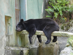 暑いぃ！。