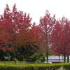 広島広域公園
