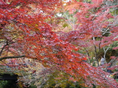 P1000255