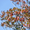 P1010293