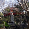 P1080731 三滝寺