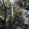 P1080708 三滝寺