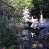 P1080683 三滝寺