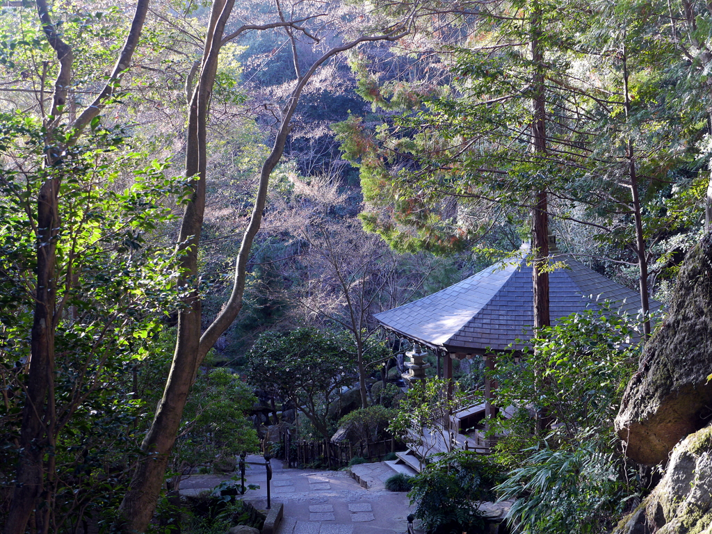 P1080672 三滝寺
