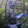 P1080672 三滝寺