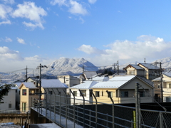 P1080496 寒い朝