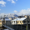 P1080496 寒い朝