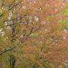 広島広域公園