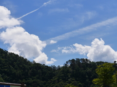 P1030423