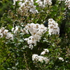 P1030416