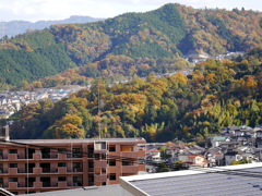 P1010285