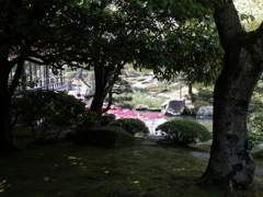 日本庭園