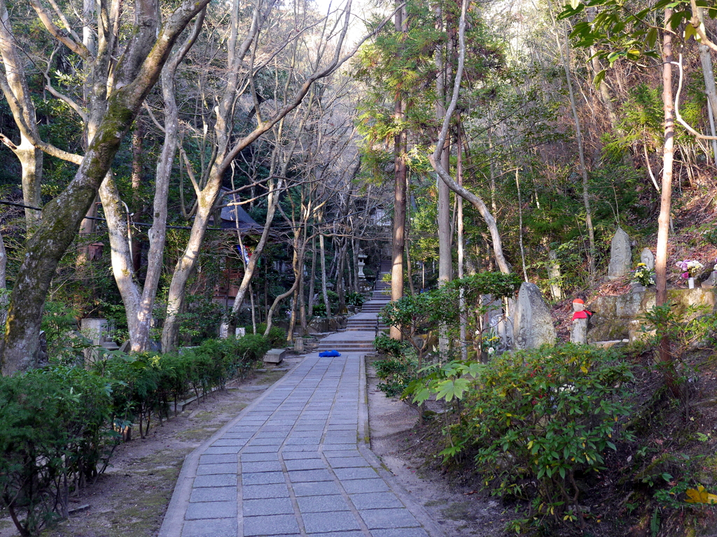 P1080631 三滝寺