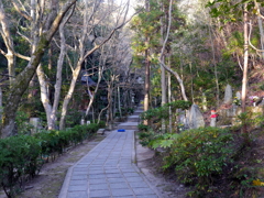 P1080631 三滝寺