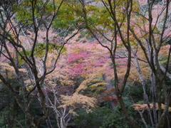 P1000287
