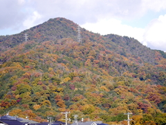 P1010298