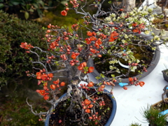 104_P1040641g