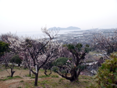 P1060013g