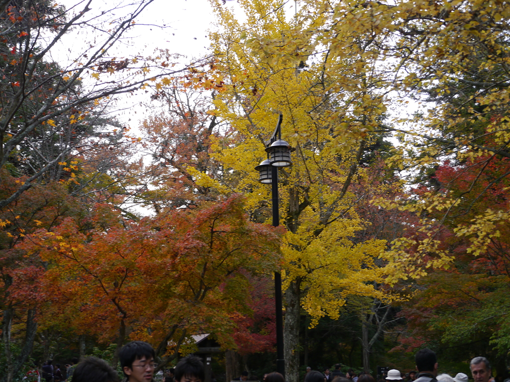 P1000281