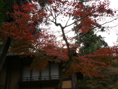 P1000261