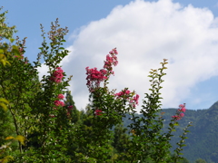 P1030305