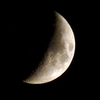 P1000825ns
