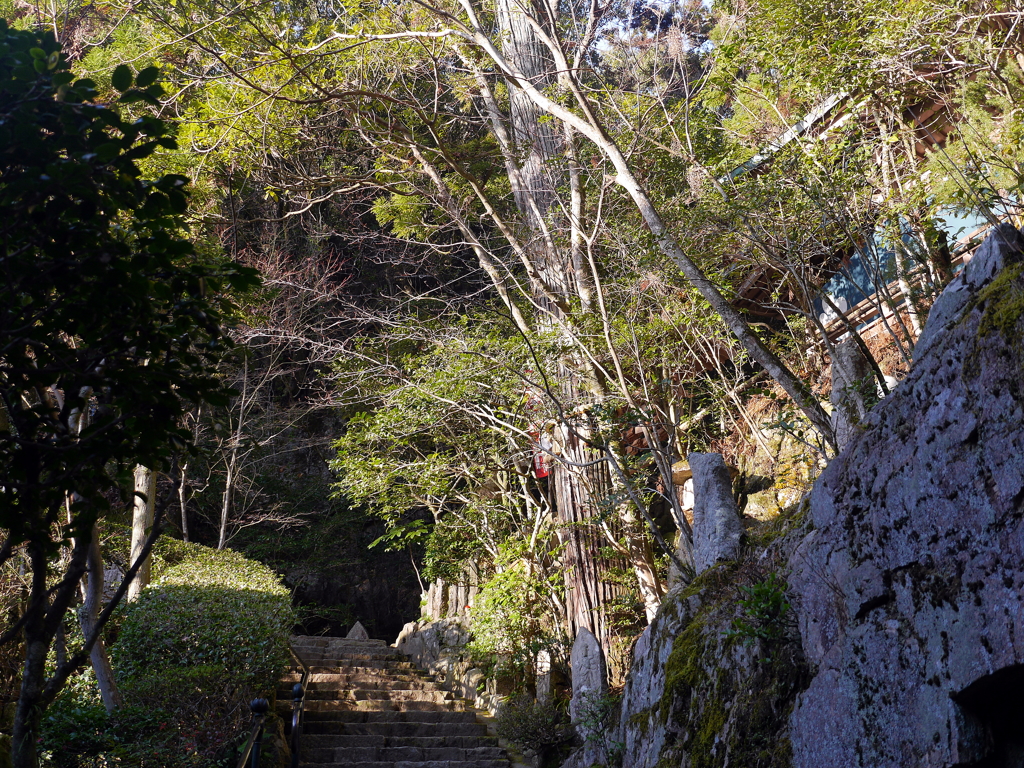 P1080665 三滝寺