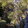 P1080665 三滝寺