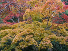 P1000276