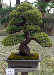 106_P1040655g