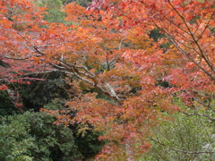 P1000239