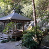 P1080676 三滝寺